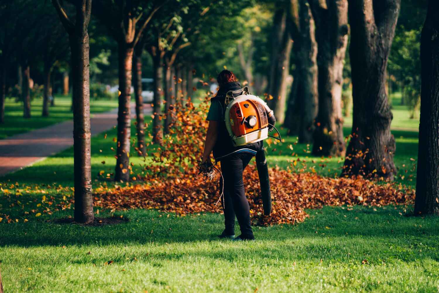 Best Commercial Tree Services  in Forsyth, IL